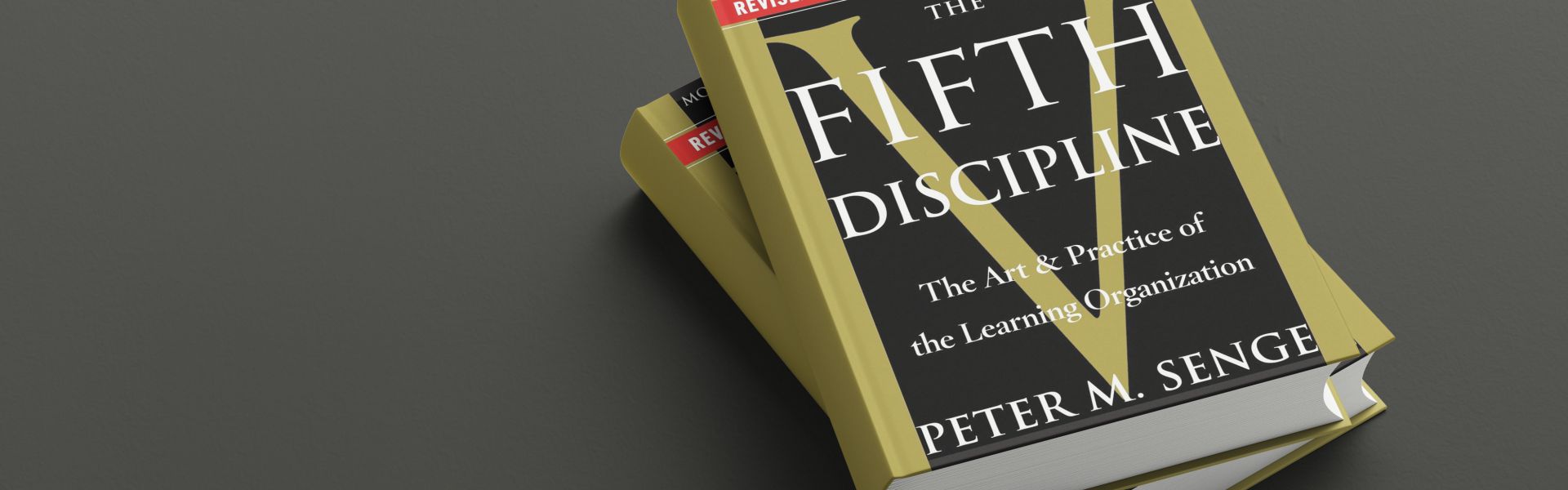 The Fifth Discipline (samenvatting)